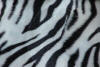 White Tiger Pring