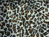 Snow Leopard