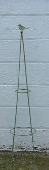 Pyramid Plant Support